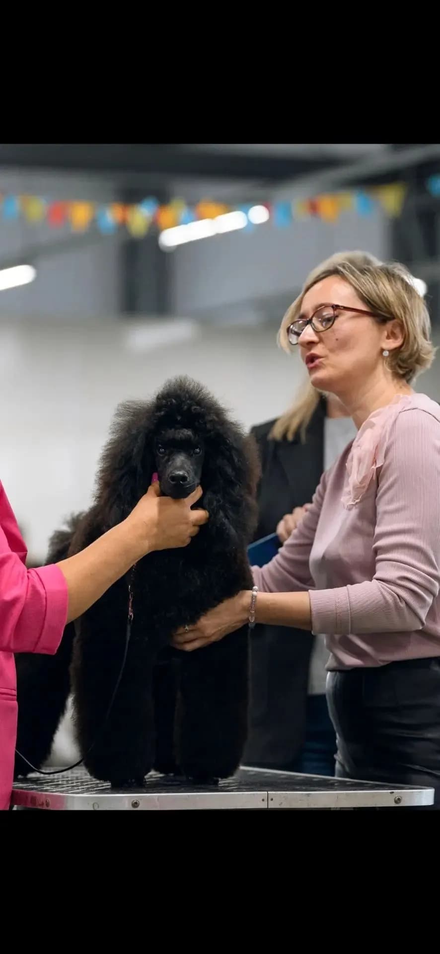 Кадерле Мирас Аквамарин (Мартин)